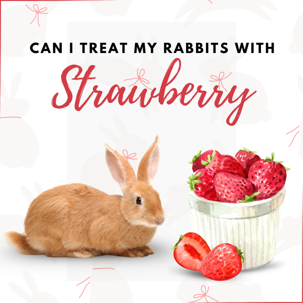 Can rabbits eat strawberries